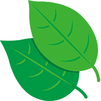 霊能者 スピリチュアルカウンセラー 加藤あや