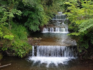 相模原市　神奈川　東京町田　横浜　関内　多摩霊能者　スピリチュアルカウンセラー　相談　浄霊　鑑定セッション