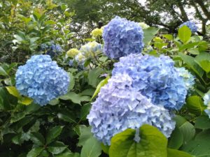 スピリチュアル　心　浄化浄霊　神奈川相模原市　町田　関内　東京　八王子　霊査