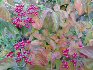 神奈川県　霊能者　スピリチュアルカウンセラー 加藤あや　ご相談　浄霊　横浜　新宿　池袋