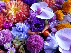 霊能者　スピリチュアルカウンセラー　神奈川県　東京　新宿　池袋　横浜　浄霊　ご相談