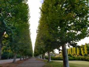 スピリチュアルカウンセラー　ご相談浄霊　神奈川県　東京　新宿　池袋　浄化　霊能者　加藤真澄　加藤あや