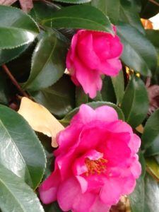 霊能者 スピリチュアル ご相談 浄霊 神奈川 東京 埼玉 千葉 山梨 心のつらさ 精神的 孤独感 だれも理解してくれない