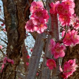 神奈川県 東京 埼玉 関東 千葉 全国