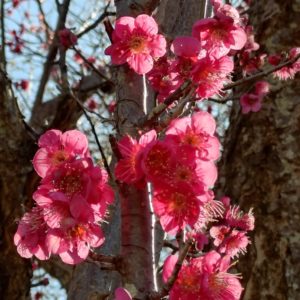スピリチュアル　ご相談　浄霊　セッション　神奈川県　横浜　東京新宿　加藤真澄