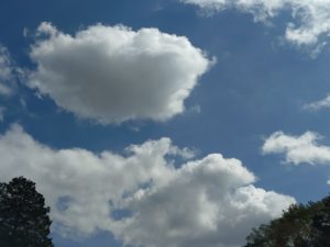 ご相談 浄霊 スピリチュアル